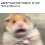 When You Rock Back in Your Chair a Bit Too Far and Your Life Flashes Before Your Eyes