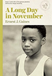 A Long Day in November (Earnest Gaines)