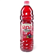 Jana Ice Tea Forest Fruit Cranberry