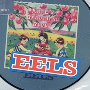 Mr. E's Beautiful Blues - Eels