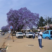 Nhlangano