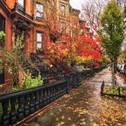 Autumn in New York