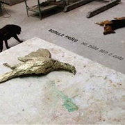 Rômulo Fróes – No Chão, Sem O Chão (2009)