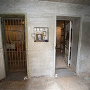 Georgia: "The Song of the Cell"