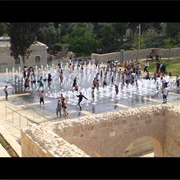 Teddy Park & Fountains