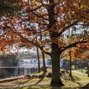Glen Falls, Williamsburg, NY