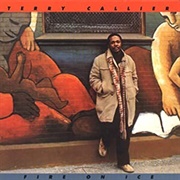 Terry Callier Fire on Ice