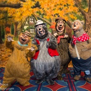 The Country Bears