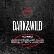 Bts - Dark&Wild