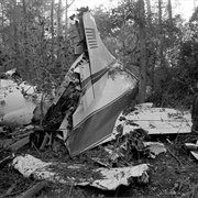 Lynyrd Skynyrd Plane Crash