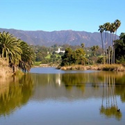 Andree Clark Bird Refuge