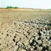 26 Million Indians Perish in India Due to Famine 1875-1900