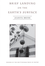 Brief Landing on the Earth's Surface (Juanita Brunk)