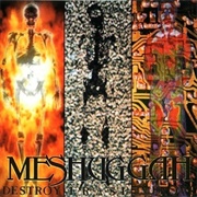 Destroy Erase Improve (Meshuggah, 1995)