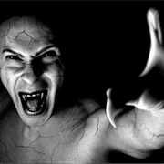 Louisiana: The Carter Brothers