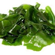 Brined Seaweed