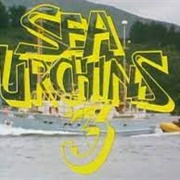Sea Urchins