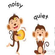 Quiet and Noisy