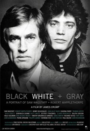 Black White + Gray: A Portrait of Sam Wagstaff and Robert Mapplethorpe (2007)