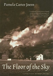 The Floor of the Sky (Pamela Carter Joern)