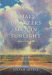 Small Disasters Seen in Sunlight (Julia B. Levine)