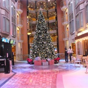 Cruising at Christmastime