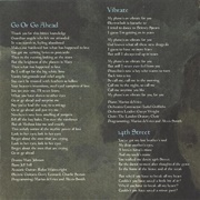 Vibrate - Rufus Wainwright