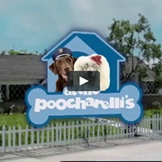 At the Poocharelli's