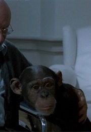 Inga From Phenomena (1985)