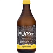 Humm Ginger Juniper Kombucha