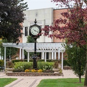 Lewis University