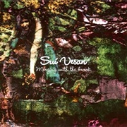 Sui Vesan Merging With the Brook