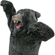 Black Bear Costume