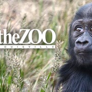 The Louisville Zoo