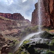 Ribbon Falls - Grand Canyon