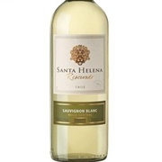 Santa Helena Vinho Branco Sauvignon Blanc Reservado