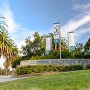 California Polytechnic State University
