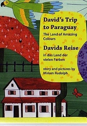 David's Trip to Paraguay (Miriam Rudolph)