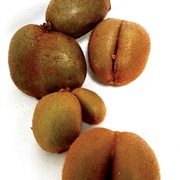 Ugly Kiwi