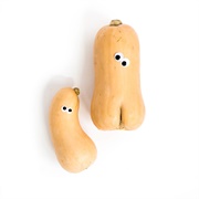 Ugly Butternut Squash