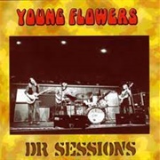 Young Flowers - DR Sessions