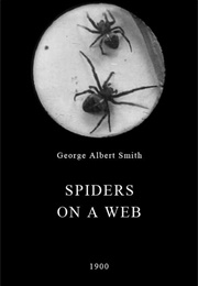 Spiders on a Web (1900)