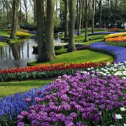 Keukenhof Park, Lisse (Netherlands)
