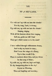 To the Skylark (William Wordsworth)