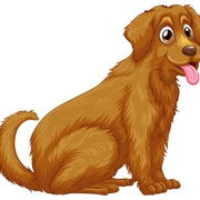 Where Oh Where Has My Little Dog Gone?