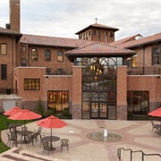 Alvernia University