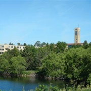 Marvin, South Dakota