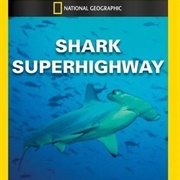 National Geographic: Shark Superhighway