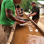 Pan for Gold at Reed Gold Mine (Location of the First Gold Found in America)