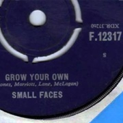 Small Faces - Grow Your Own